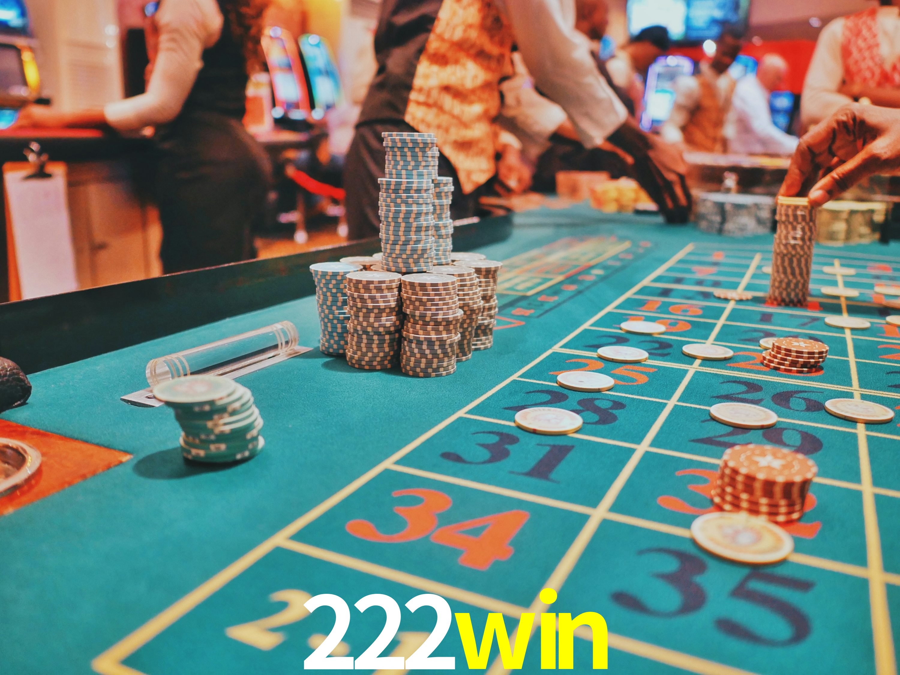 Programa VIP 222win